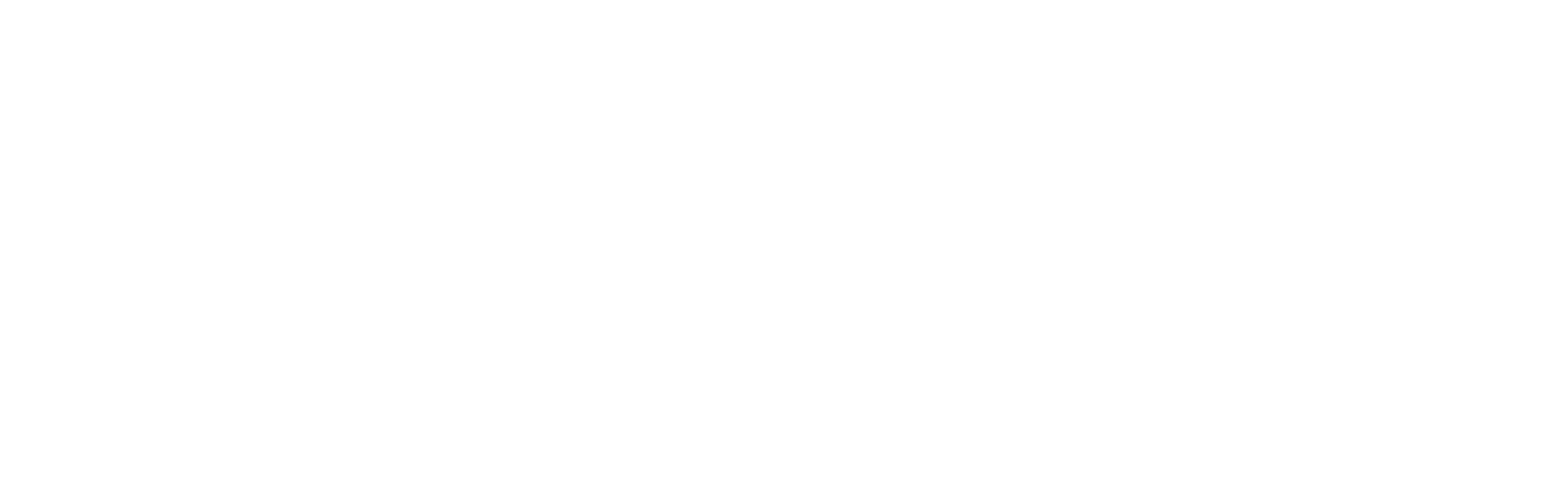 Intersport France