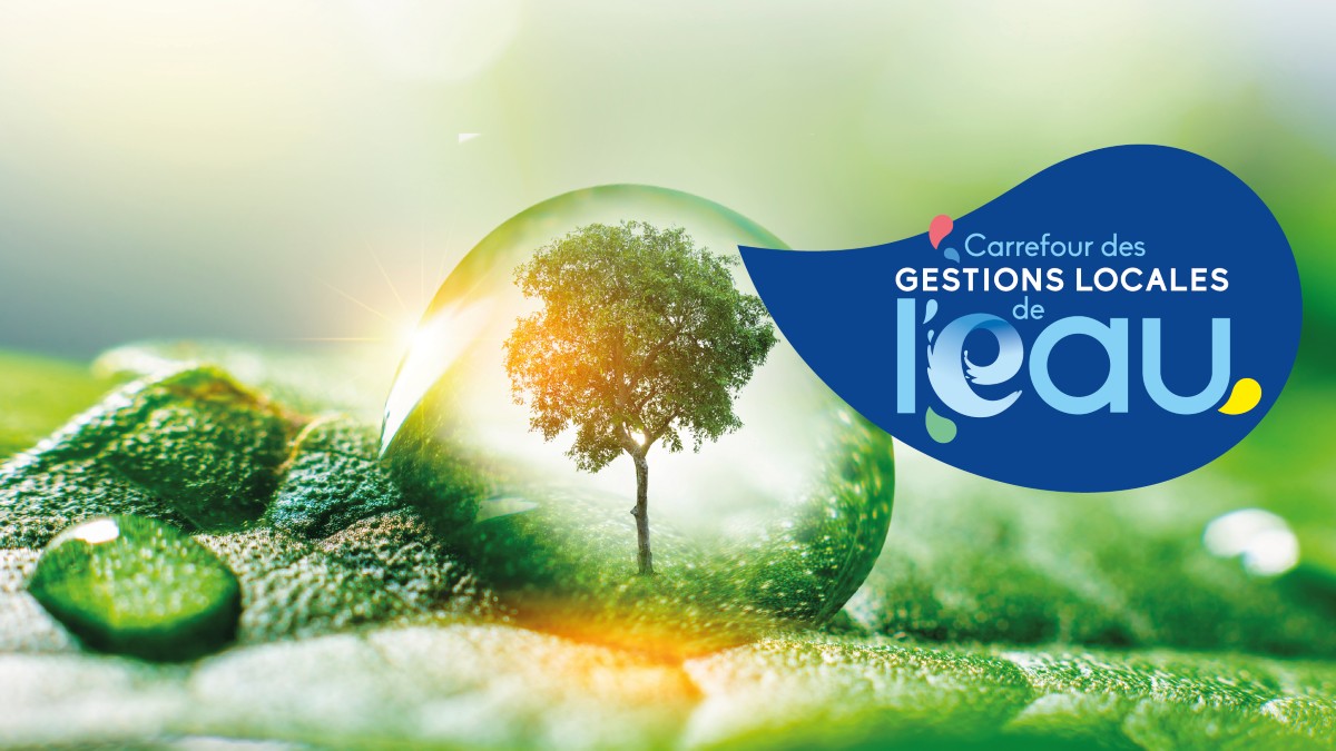 solutions fondées sur la nature