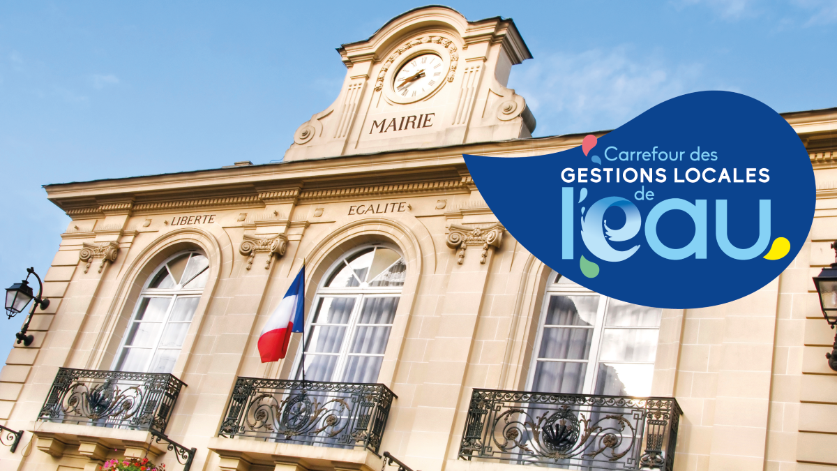 elus gouvernance et orga