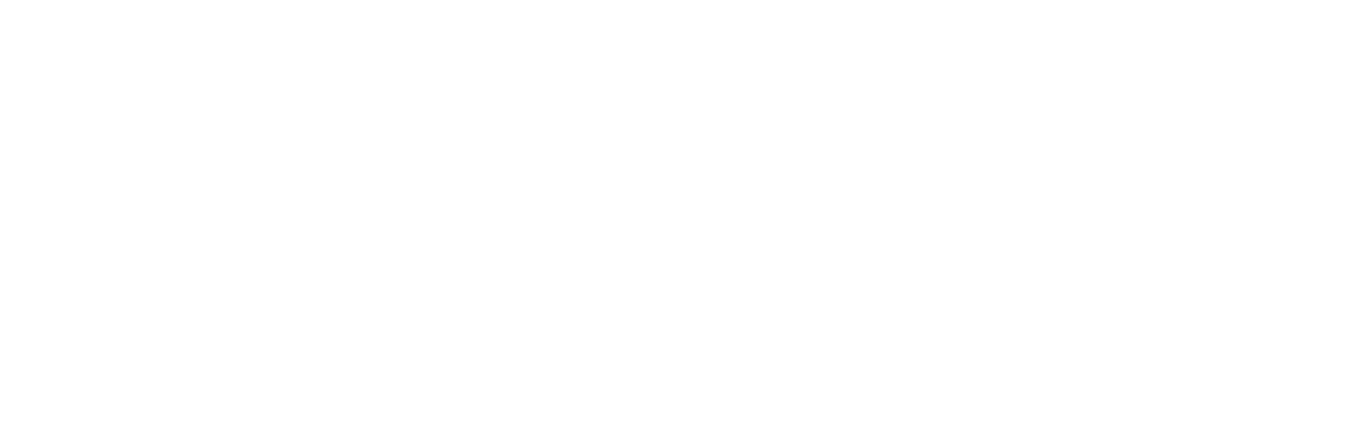 SOCIAL & MARKETING 2025