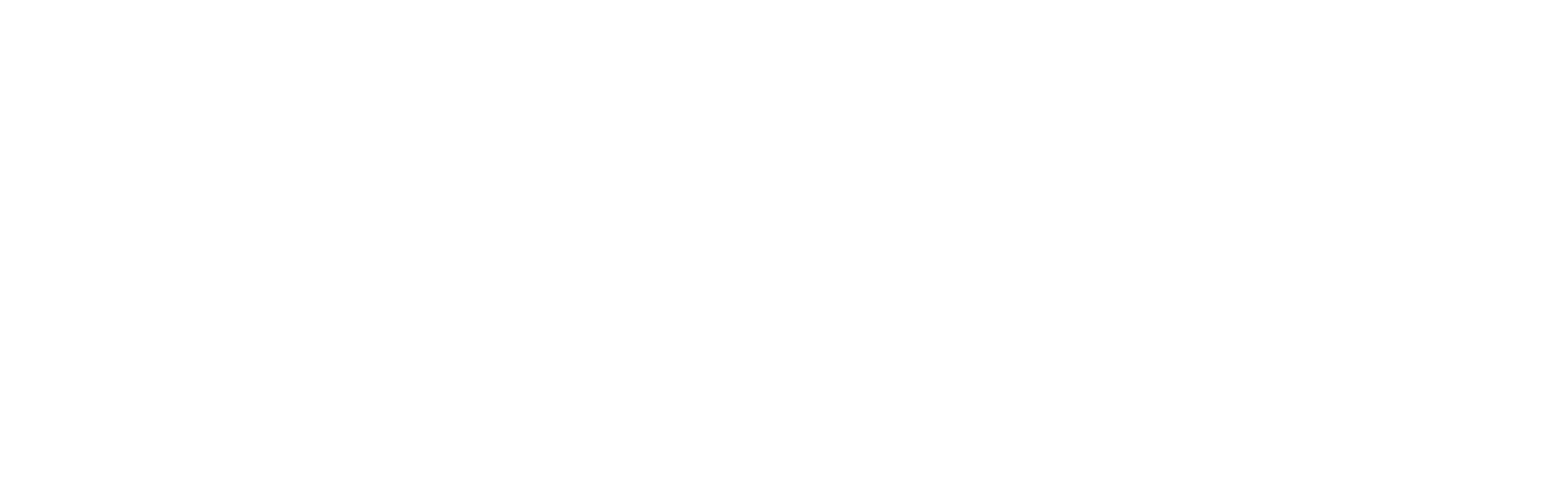 Salon Infirmier Logo